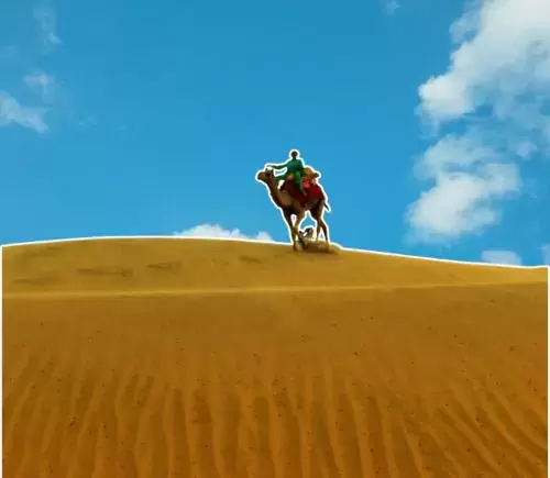 Desert Trails