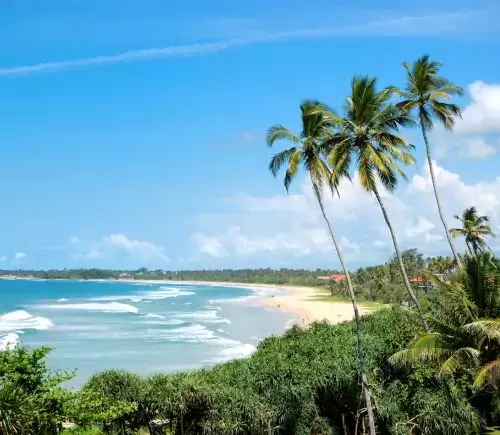 Srilanka Escape I Luxury