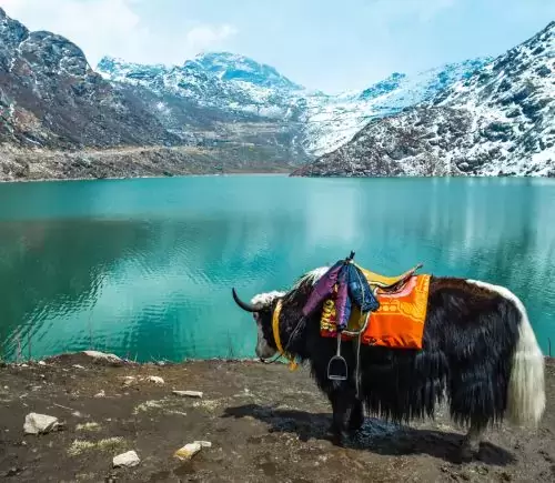 Sikkim Tour Package from Delhi