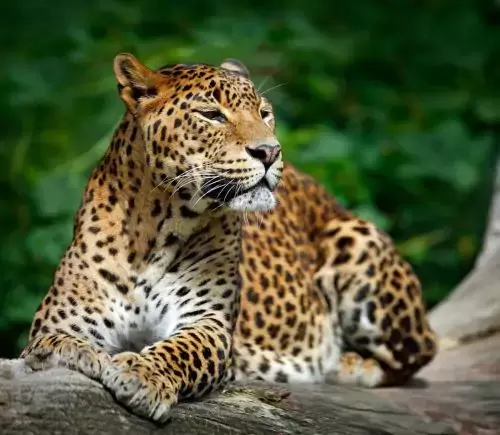 Adventure in Srilanka