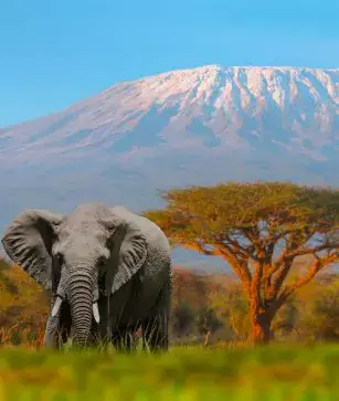 Tanzania Tour Packages