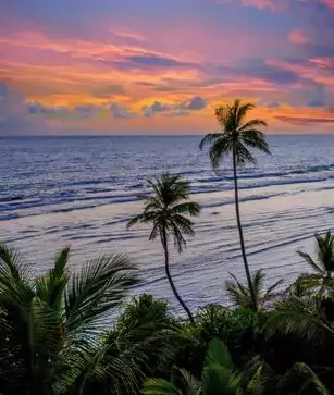 Goa Tour Packages